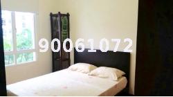 Casablanca (D25), Condominium #13915282